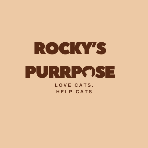 Rocky's Purrpose
